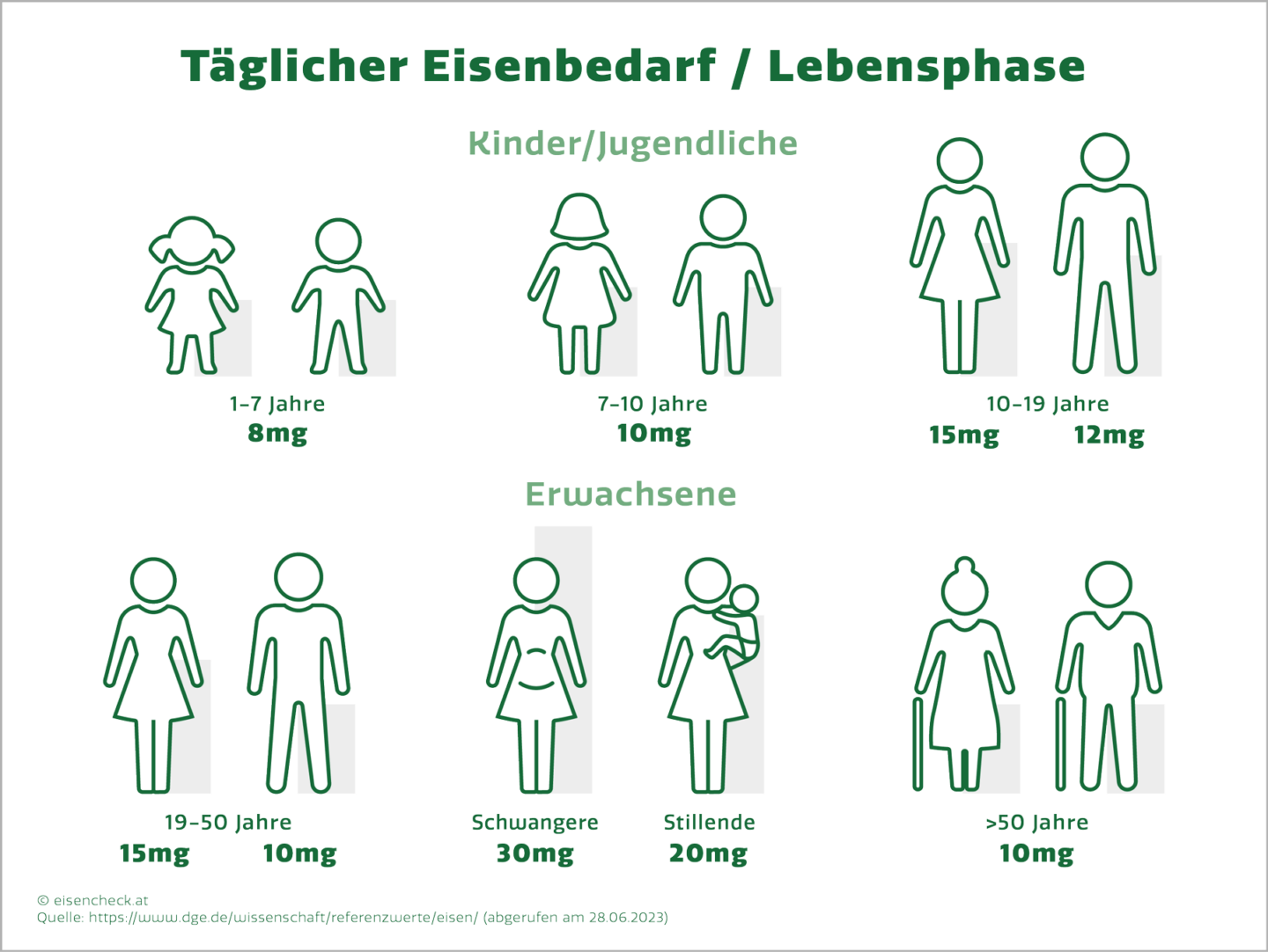 Eisenmangel täglicher Eisenbedarf pro Lebensphase