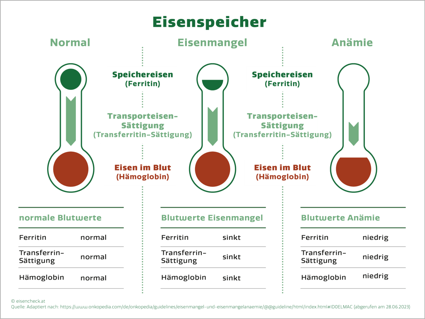 Eisenmangel Eisenspeicher im Vergleich: normale Blutwerte, Blutwerte Eisenmangel, Blutwerte Anämie, eisenhaltige Lebensmittel