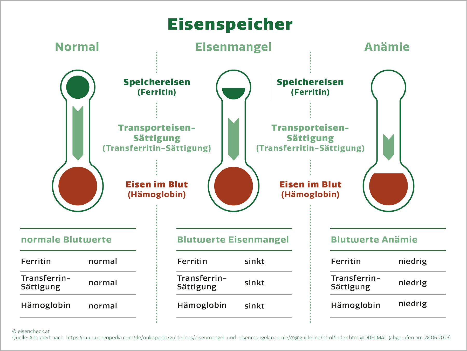 Eisenmangel Eisenspeicher im Vergleich: normale Blutwerte, Blutwerte Eisenmangel, Blutwerte Anämie