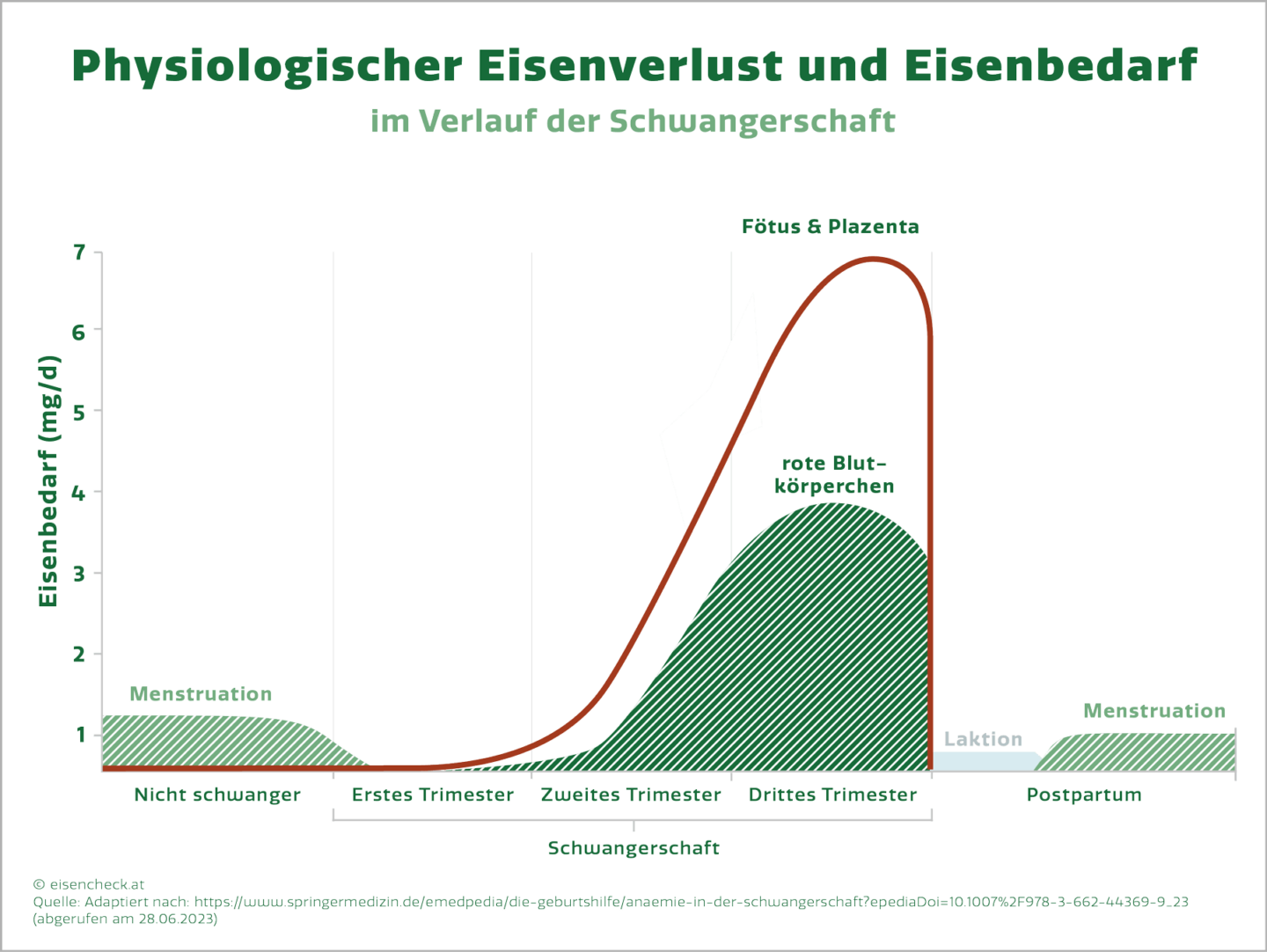 Eisenmangel, Blutarmut, physiologischer Eisenverlust und Eisenbedarf im Verlauf der Schwangerschaft